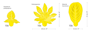Zestaw LARGE_natural.png