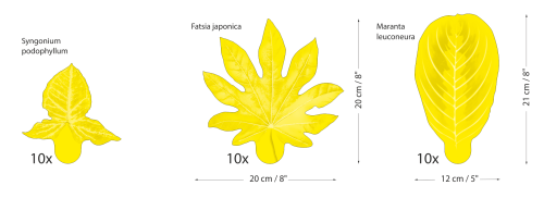 Zestaw LARGE_natural.png