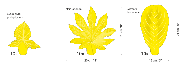 Zestaw LARGE_natural.png