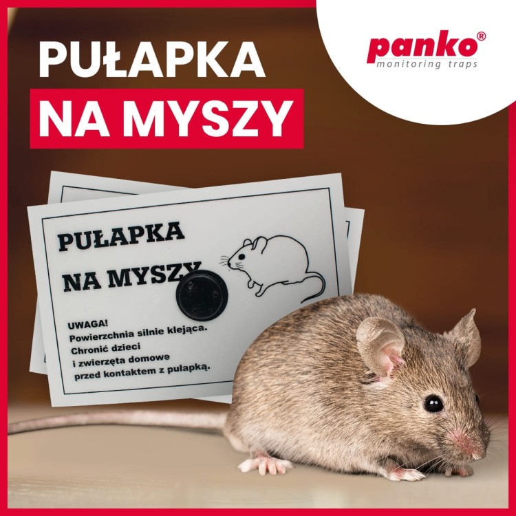 Zestaw pułapek na myszy dla barów, kawiarni, restauracji - 10-sztuk - panko GASTRO + gratis
