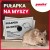 Zestaw-pulapek-na-myszy-dla-barow-restauracji-10-sztuk-panko-GASTRO-gratis-04.jpg