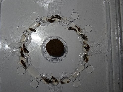 ib_p006_1_8.jpg