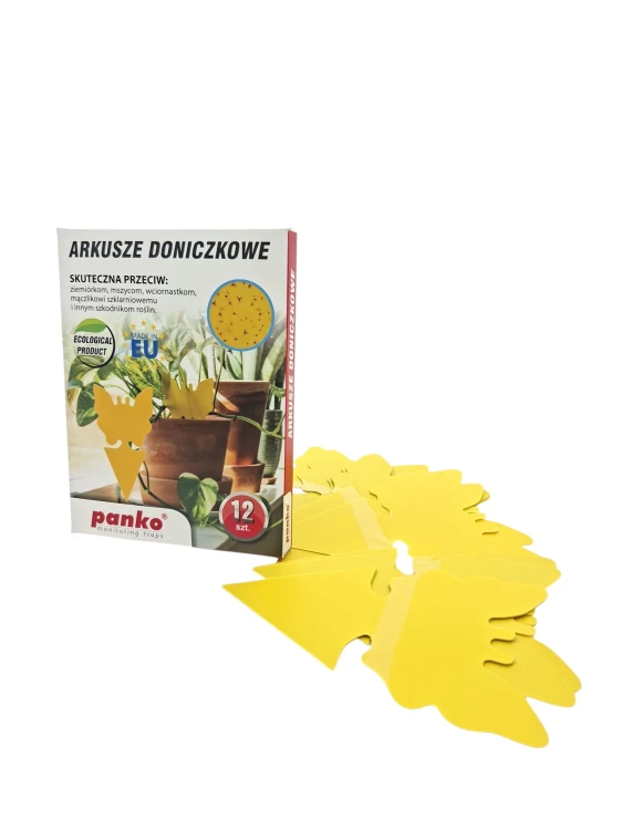 Motyl1.jpg