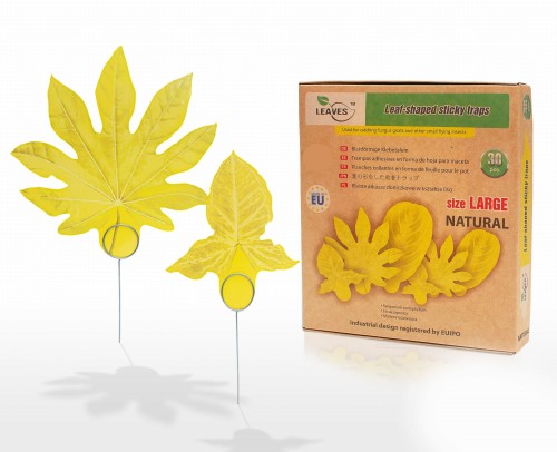 zestawienie_duze_natural.jpg