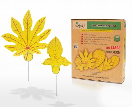 zestawienie_duze_modern.jpg