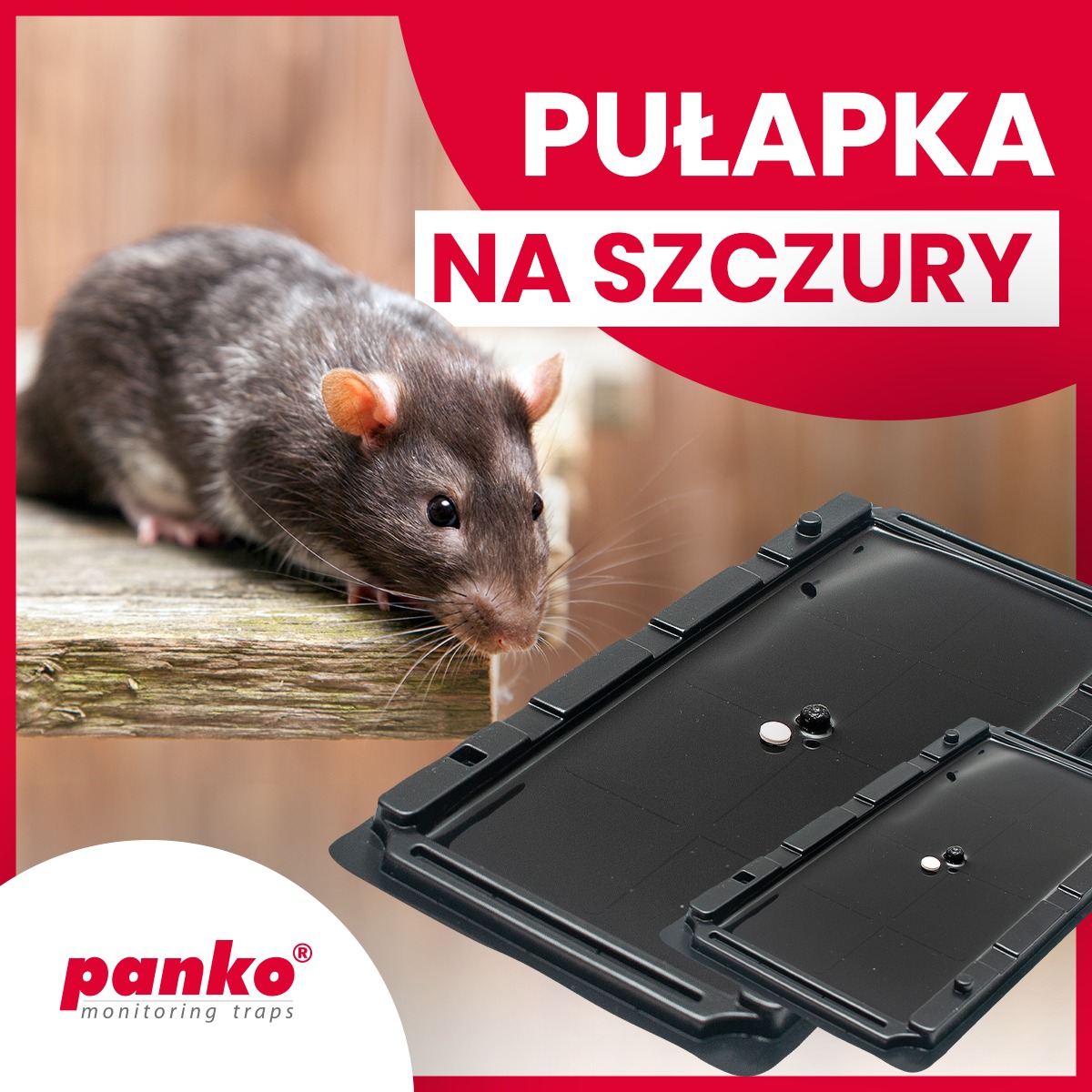 Pułapka na szczury z atraktantem