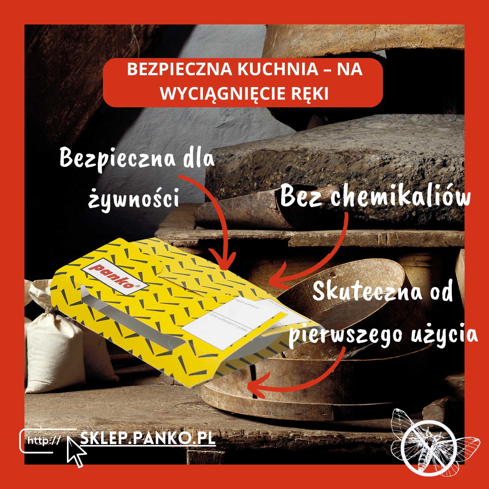 Pluskwa domowa – jak wygląda ugryzienie