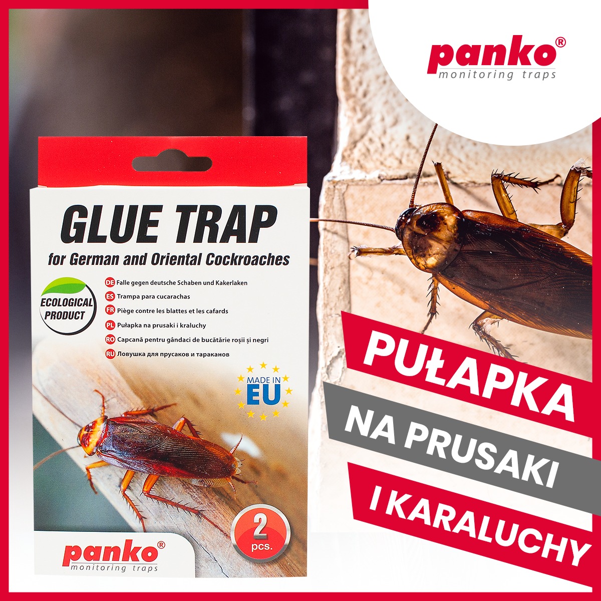 Pułapka panko na karaluchy i prusaki